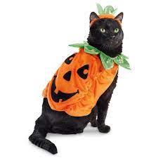 Petco Pumpkin Halloween Cat Costume Pet Halloween Costumes Pet Costumes Cat Halloween Costume