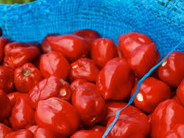 Peppers can be refrigerated for up to 10 days; Are Habanero And Scotch Bonnet The Same Thing Close But Not Quite Uchu Spice