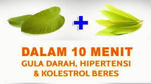 Untuk itulah, tetap jaga kadar gula di dalam darah agar tetap seimbang. Cara Menurunkan Kolestrol Hipertensi Diabetes Dengan Cepat Youtube