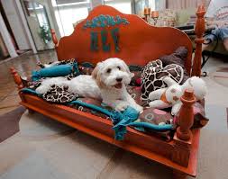 Not the cheapest table, but this would make a nice gift for the dog lover in your life. This Was Our First Bed Made From A Vintage Coffee Table Made For Hefner Isn T He Adorable All Our Beds Are Feli Dog Beds Homemade Diy Dog Bed Pet Beds
