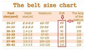 Little Bee Designer Belts Luxury Belts Womens Animal Style Brand Woman Belt Casual Fashion Smooth Buckle Belt Highly Quality Belt Timing Belt From