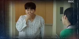 Is netflix, amazon, hulu, etc. Two Cops Korean Drama Asianwiki