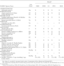Image result for Abutilon englerianum