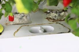 You can make your very own indoor garden of fresh. Aerogarden Harvest Review 2020 Setup Grow Results Pepper Geek
