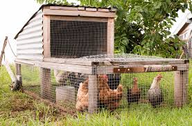 Chicken wire mesh made from galvanised steel. Chicken Wire All You Need To Know The Happy Chicken Coop