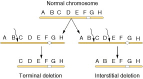 mode of inheritance