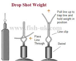 Run the end of the line back up through the hook eye until. Tackle Drop Shotting For Perch And Drop Shot Fishing Set Up