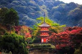 Hiroshima peace memorial (including park, museum and atomic bomb dome) is one of top visited tourist sites which is dedicated to the first city in the world to suffer from nuclear attack and to memories of victims for the history not to repeat. Where To Stay In Kyoto Your Ultimate Neighborhood Hotel Guide