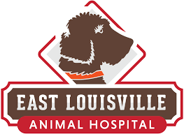 To learn more about our dedicated veterinary team, please click here. Veterinarian Near 40207 East Louisville Animal Hospital