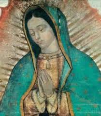 Our Lady Of Guadalupe Our Lady Of Guadalupe Home Of Windsor It can be seen today in a large. our lady of guadalupe our lady of