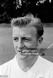 16,314 Terry August Stock Photos, High-Res Pictures, and Images