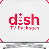How much does dish internet cost. 1