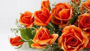 Get reviews, hours, directions, coupons and more for amore dolce flowers & chocolates. 12157879e6a331e149709f665e1f0ba3d9130823 Slide 2 Orange Roses Wallpaper Orange Rose Wallpaper Orange Roses