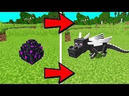 How To Hatch The Ender Dragon Egg In Minecraft 100 Works Youtube Minecraft Ender Dragon Dragon Egg Minecraft