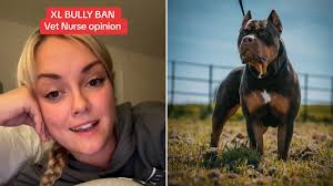 I feel like a criminal walking down the road after the XL bully ban, there  wouldn't be deaths if owners were like me