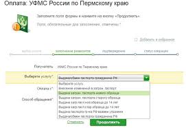 Oplatit Gosposhlinu Za Pasport Cherez Sberbank Onlajn Poshagovaya Instrukciya