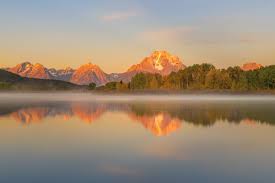 Image result for reflection