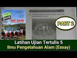 Exagufor akhwat kunci jawaban detik detik un sd. Download Latihan Ujian Tertulis 4 Ilmu Pengetahuan Alam Buku Detik Detik Usp Sdmi Mp4 Mp3 3gp Naijagreenmovies Fzmovies Netnaija