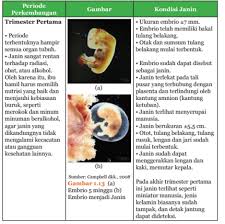 Buku ipa kurikulum 2013 revisi 2017 kelas 9 halaman 245 no 5. Rangkuman Ipa Kelas 9 Semester 1 Kurikulum 2013