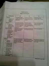 Race Rubric Micro Strategies For Writing Thoughtful Answers To Questions About Literature From Our Child S Gifted Ta Rubrics Cool Writing Writing Services