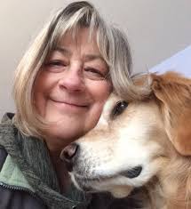 Rocket Dog of Vermont