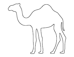 This sketch should allow you to see how the entire body flows and getting the constantly drawing with the chalk head will stack on cool textures that look like muscles, skin, or fur. How To Draw A Camel Step By Step Easy Animal Drawing