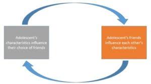 If you are older than that, you are welcome to keep on using learnenglish teens but please do not post any comments as we must keep this strictly for teenagers to interact with each other. Peer Relationships Adolescent Psychology