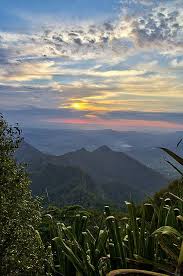 Mt Warning Nsw Australia Australia New South Wales Australia Travel