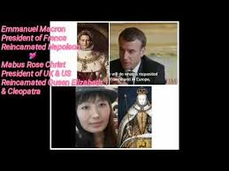 Image result for mabus rose