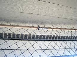 Indoor Homes Enclosing Your Balcony Vancouver Orphan Kitten Rescue Association Vokra Cat Proofing Kitten Rescue Balcony