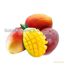 Mango tip burn and sunburn images linked from texas a & m. 2019 Fresh Fruits Alphonso Mango Products Netherlands 2019 Fresh Fruits Alphonso Mango Supplier