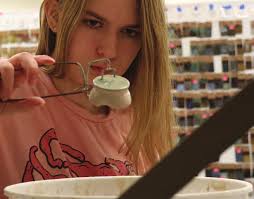 Raleigh Parks 2024 Fall Leisure Ledger