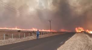 A informação de que o fogo rural, numa zona de mato e com duas frentes ativas, foi dominado foi referida à lusa por fonte do comando. Oqkdsla00enftm