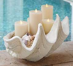 Check spelling or type a new query. 13 Best Clam Shell Decor Ideas Shell Decor Clam Shell Giant Clam