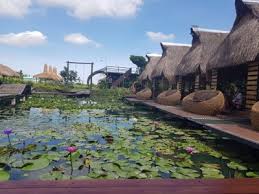 รวม 7 คาเฟ่ย่านนนทบุรี ร้านไหนเด็ด ร้านไหนดี ที่ไม่ควรพลาด à¸£ à¸§ à¸§ à¹à¸‹ à¸šà¸™ à¸§ à¸„à¸£ à¸§à¸š à¸²à¸™à¸™à¸²à¸¨à¸²à¸¥à¸²à¸¢à¸² à¸šà¸£à¸£à¸¢à¸²à¸à¸²à¸¨à¸š à¸²à¸™à¸™à¸² à¸­à¸²à¸«à¸²à¸£à¹à¸‹ à¸šà¸™ à¸§ à¸ªà¸¡à¸Š à¸­à¸£ à¸²à¸™à¸¡à¸²à¸ Wongnai