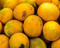 Image result for Cucumis melo