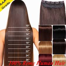 Details About Long Full Head 3 4 One Piece 5 Clips 100 Straight Remy Human Hair Extension 80g