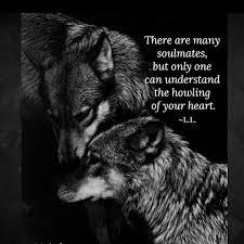 Gottfried benn wurde am 2. Zitat Wolf Baddas Zitat Wolf Schwarzer Wolf Traurigste Augen Wolf Inspiration Zitat Tierwolf Heulender Wolf Quo In 2020 Wolf Quotes Lone Wolf Quotes Warrior Quotes