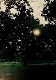 Phi Psi Cli [electronic resource]