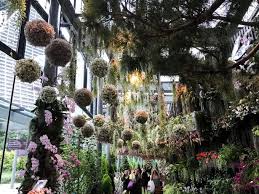 The gardens include a large formal rose garden with over 4500 varieties, an alpine glasshouse and a herb garden. Fairy Garden With 15 000 Flowers Hanging Upside Down In Singapore