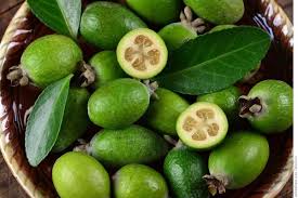 Pin On Fruits And Berries