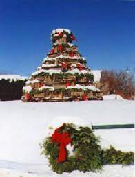 Maybe you would like to learn more about one of these? Maine Christmas Trees Farms Offering Cut Your Own Trees Visit Maine Blog