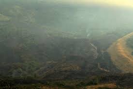 Hutan negara adalah hutan yang berada pada tanah yang tidak dibebani hak ke atas tanah. Kebakaran Hutan Di Gunung Ciremai Belum Bisa Dipadamkan