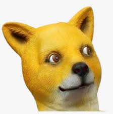 You can also click related recommendations to view more background images in our huge database. Memes Where I Made The Background Transparent For Some Dank Memes Transparent Background Png Image Transparent Png Free Download On Seekpng