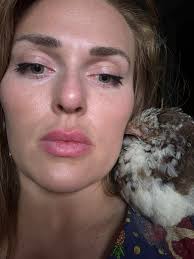 Chicken forms strong bond with owner after being nursed back to health