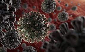 A covid‑19 vaccine is a vaccine intended to provide acquired immunity against severe acute respiratory syndrome coronavirus 2 (sars‑cov‑2), the virus causing coronavirus disease 2019 (covid‑19). Biontech Pfizer And Fosun Pharma Bnt162b2 Comirnaty In Eu And Switzerland