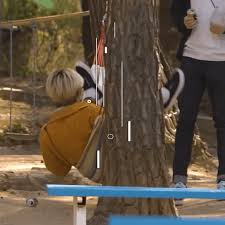 Dream in wonderland episode 3 english sub has been released. My Universe Just Wants To Collide With Yours Nct Life Dream In Wonderland Renjun