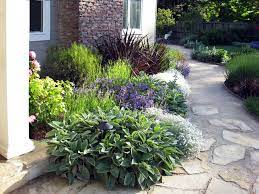 Maybe you would like to learn more about one of these? Mediterranean Landscape Remodel With Cottage Style Appeal Using Low Water Plants In Sleepy Hollow San Anselmo Ca Dig Your Garden Landscape Design
