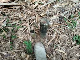 Leasehold agricultural land for rm 300 000 at hulu langat, selangor. Wikiloc Photo De Bukit Du Kg Dusun Tua Hulu Langat 1 1