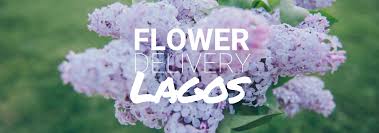 Names that mean anemone, iris, asphodel, daffodil, jonquil, tulip, orchid, carnation, chrysanthemum iolanthe (ιολανθη): The 6 Best Options For Flower Delivery In Lagos Flower Delivery Reviews